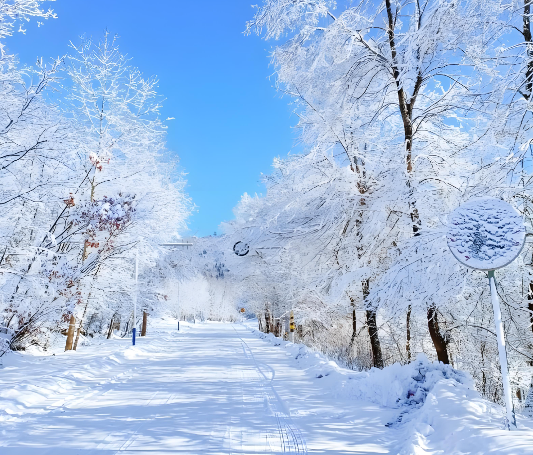 星空体育app下载-温馨！零下37度，胡明轩冰天雪地中，给球迷签名