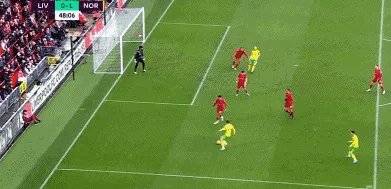 1645288505863071255.gif IMG_3678.gif